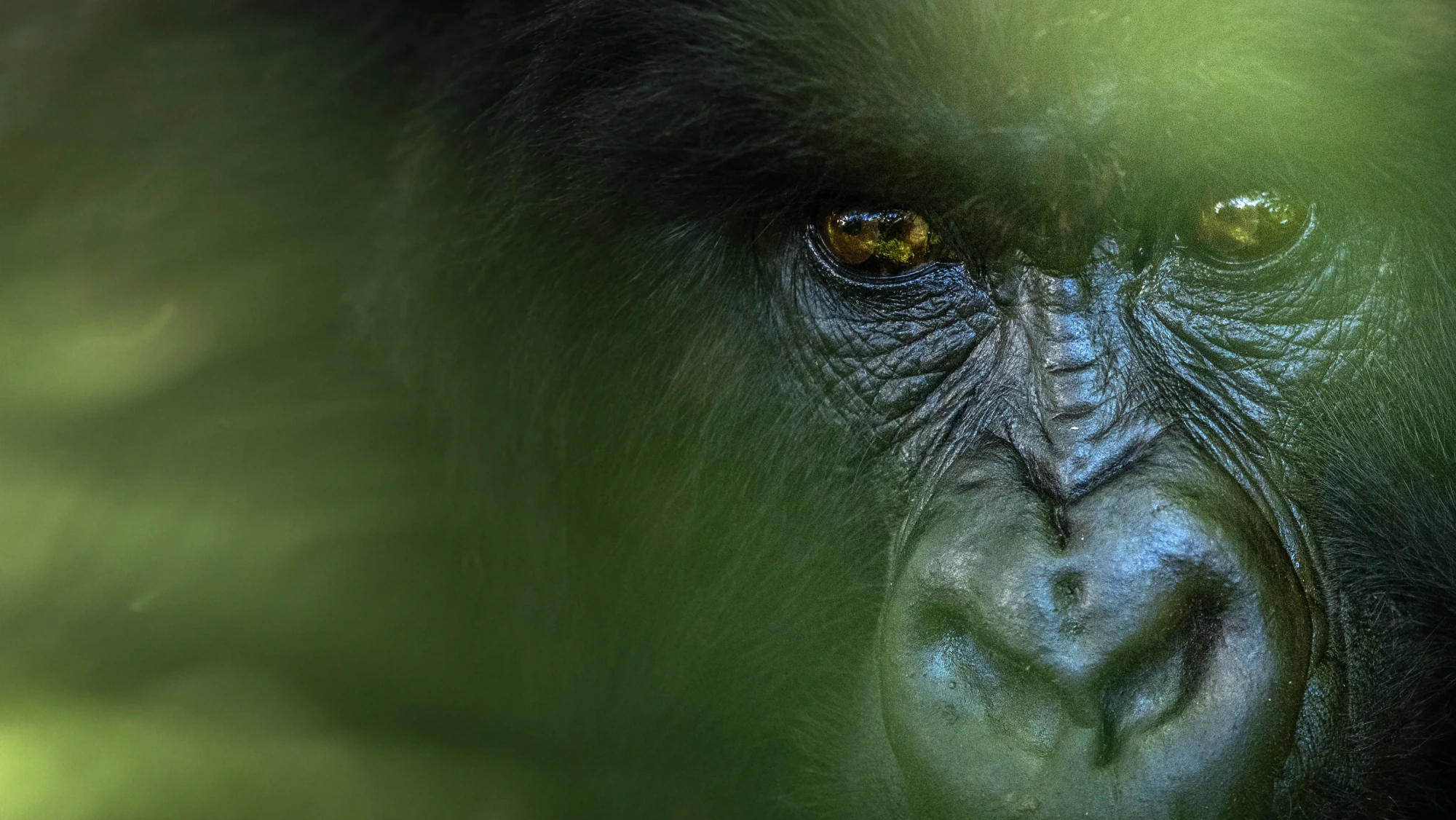 Startsidans hero-bild för Fröstad Naturfoto